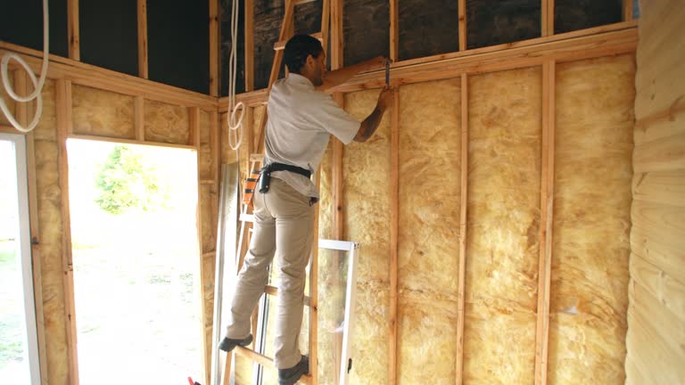 Reflective Insulation in Normal, IL